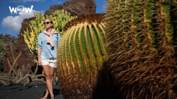 Lanzarote Imperdibile - immagine 3