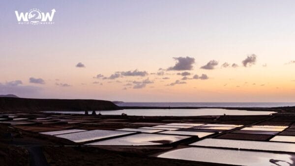 Assapora Lanzarote (Sud) + Guida ai piatti tipici - immagine 2