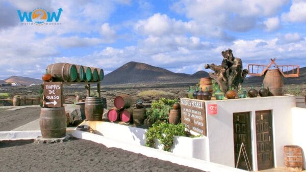 Assapora Lanzarote (Centro) + Guida Piatti Tipici - immagine 2