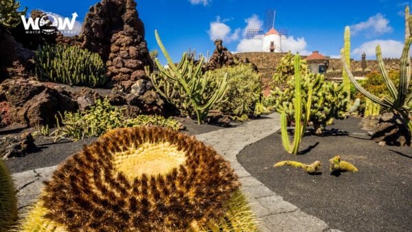 LANZAROTE IN FAMIGLIA + LANZAROTE IMPERDIBILE - immagine 8