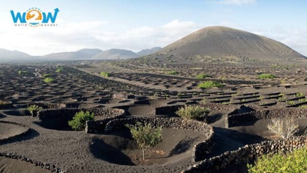 Lanzarote Imperdibile - immagine 7